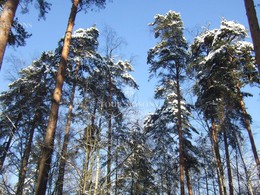 Новорижское