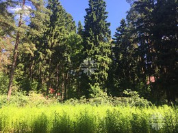 Рублево-Успенское