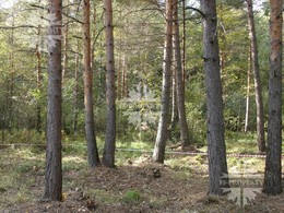 Новорижское