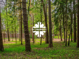 Рублево-Успенское