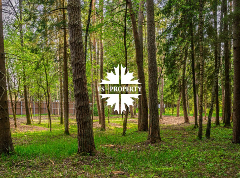 ЛЕСНОЙ УЧАСТОК С СОСНАМИ В ЭЛИТНОМ ПОСЕЛКЕ