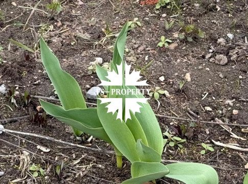 Рублево-Успенское