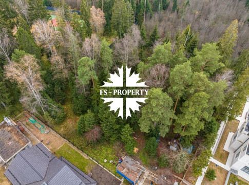 Ренессанс лесной участок